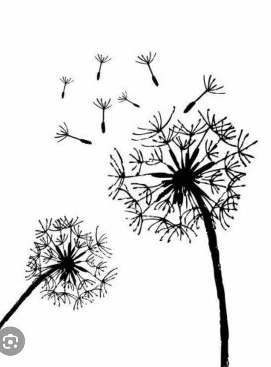 personalisierbare kleine Holzscheiben (4-8cm)