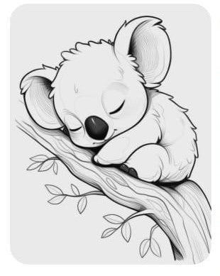 Koala schlafend